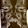 Origin of Species - Brown